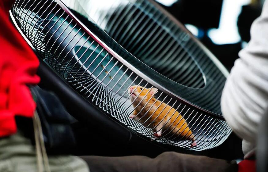 10jaarVolvoDynamicSteering (4) 10jaarVolvoDynamicSteering (4)